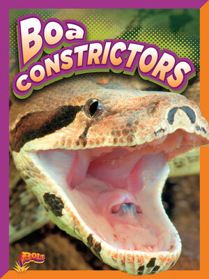 cover image of Boa Constrictors